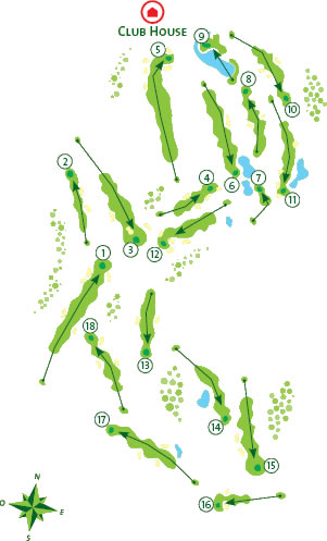 Golf course Layout